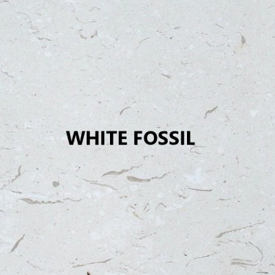 piedra-natural-white-fossil